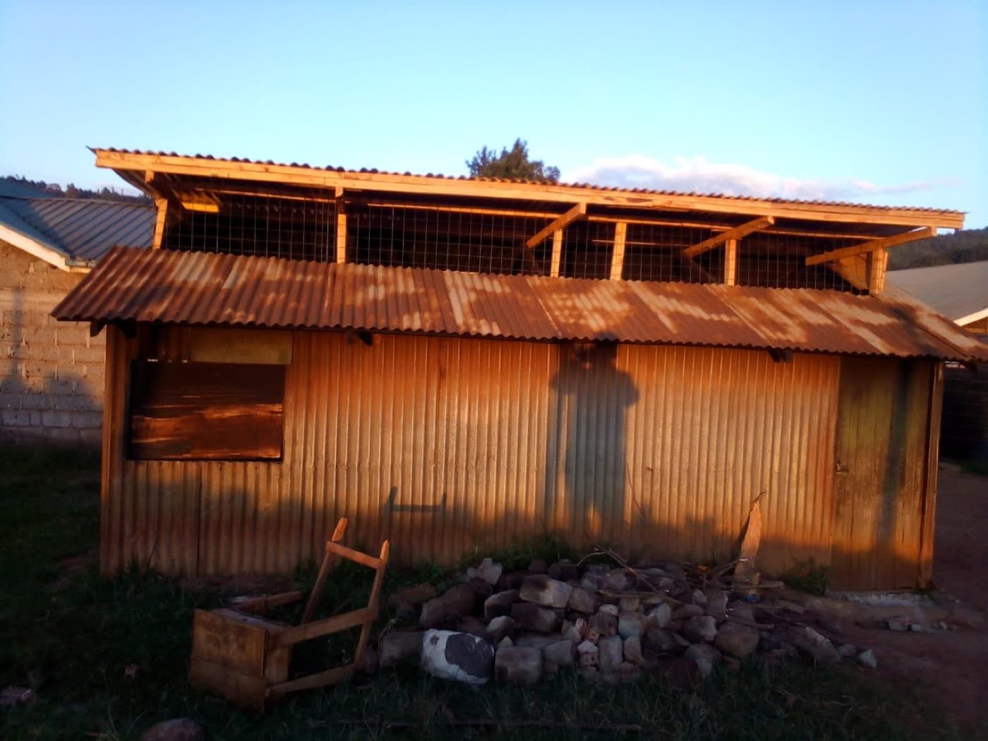 The old iron-sheet kitchen at sunset, with the new timber roof frame rising behind it